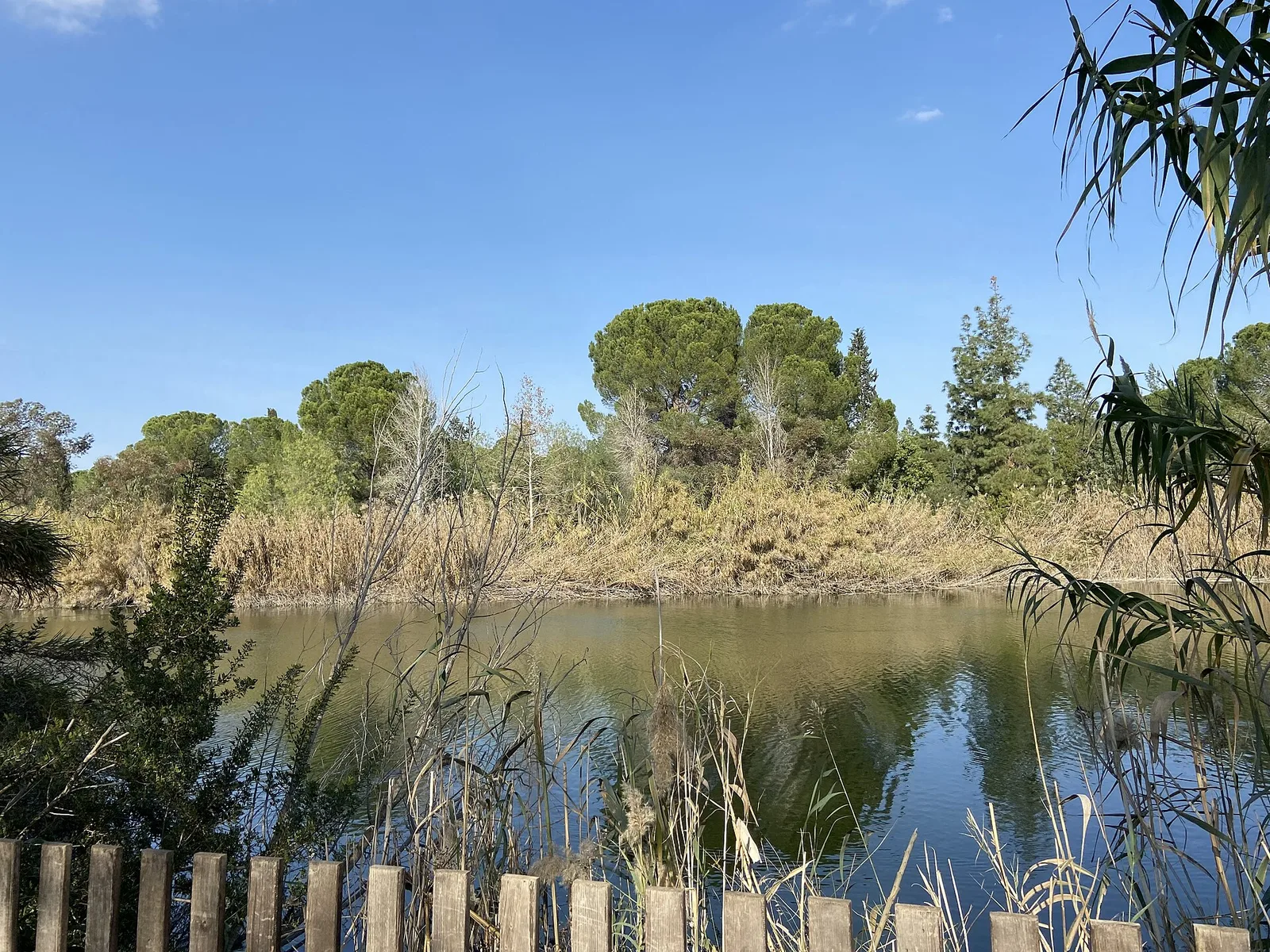 Εθνικό Δασικό Πάρκο Αθαλάσσας